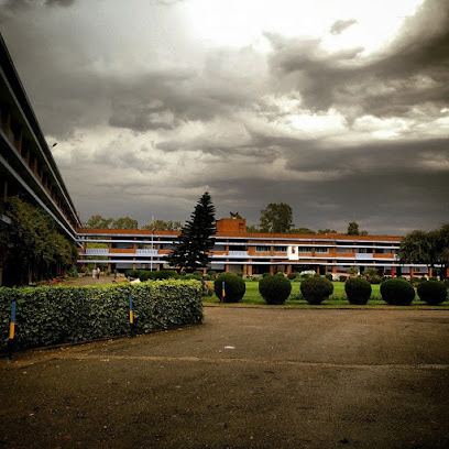 Best School in Chandigarh | Top Best Schools in Chandigarh You Should Go For Your Better Future