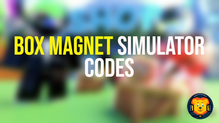Box Magnet Simulator Codes