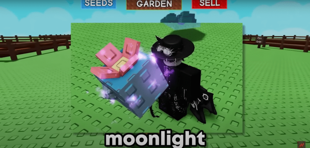 How to Get the Raccoon Pet in Grow a Garden