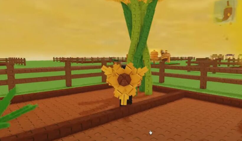 How to Get Suncoil in Grow a Garden