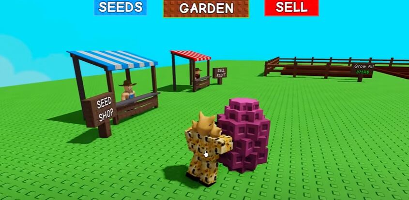 How to Get Violet Corn in Grow a Garden